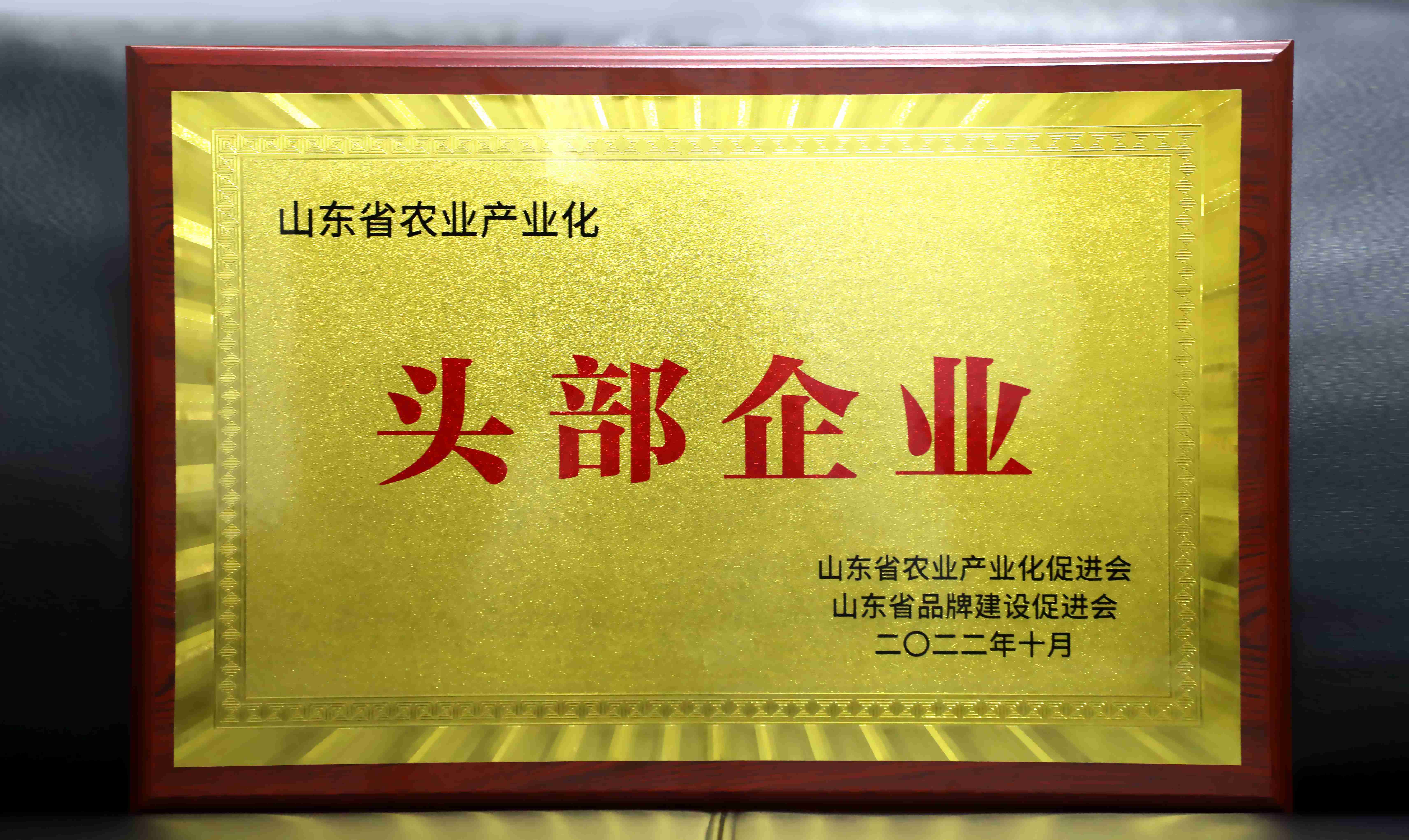 ΢ÐÅͼƬ_20221118154500(2).jpg ΢ÐÅͼƬ_20221118154500(2).jpg